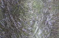 Winsor fibreglass roof work